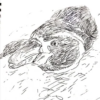 ながさん【イラスト販売始めました！】