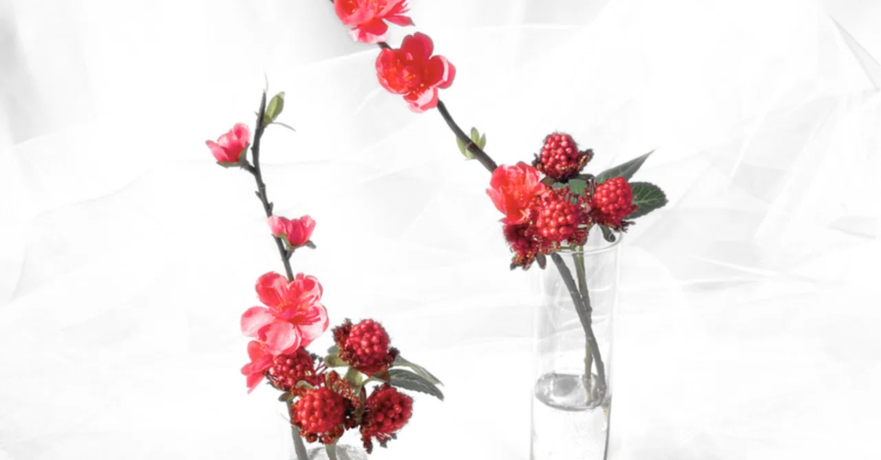 「生きている充実感」と、花がもたらすもの｜Kou Flower Art Studio 暮らしの味方になる花を作る人