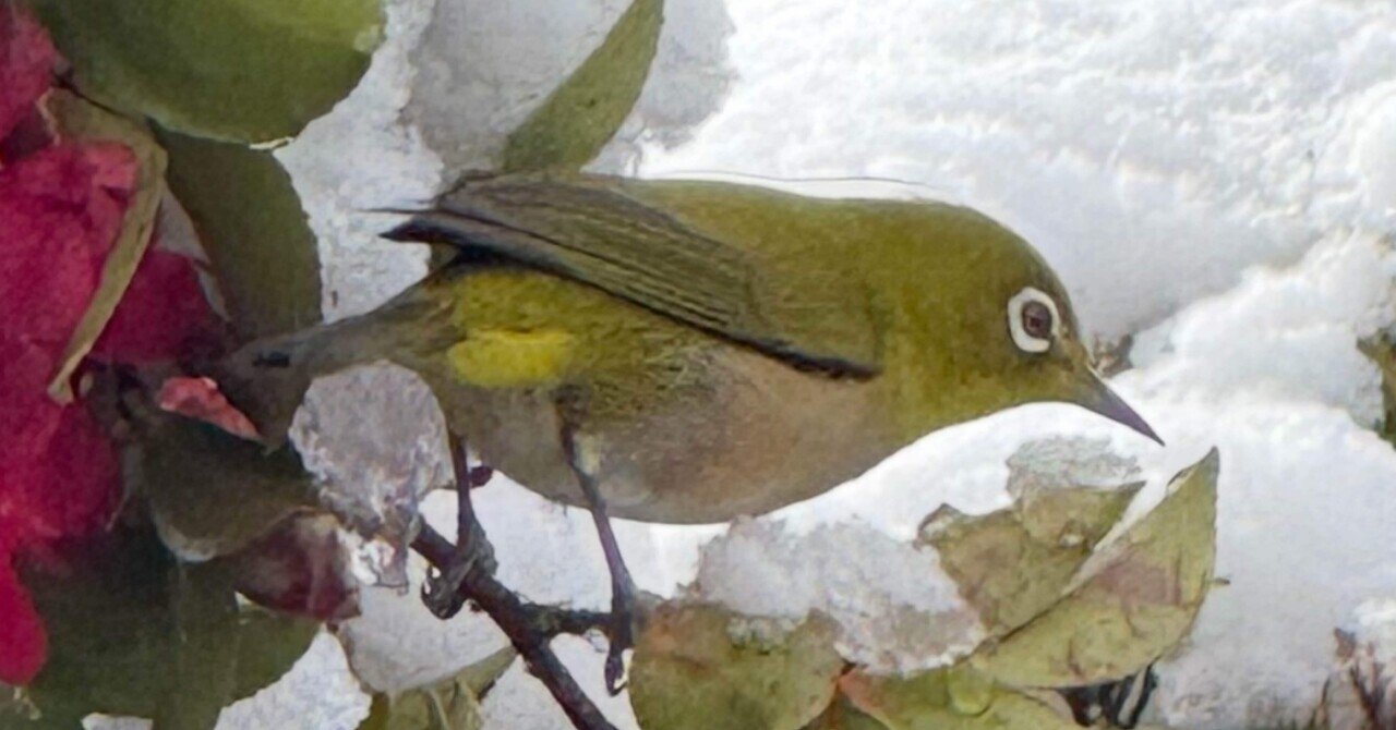 rectangle_large_type_2_dc15537