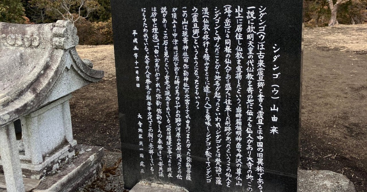 山採り　ダンコウバイ 山採り自然樹形ダンコウバイ黄葉2023 - YouTube