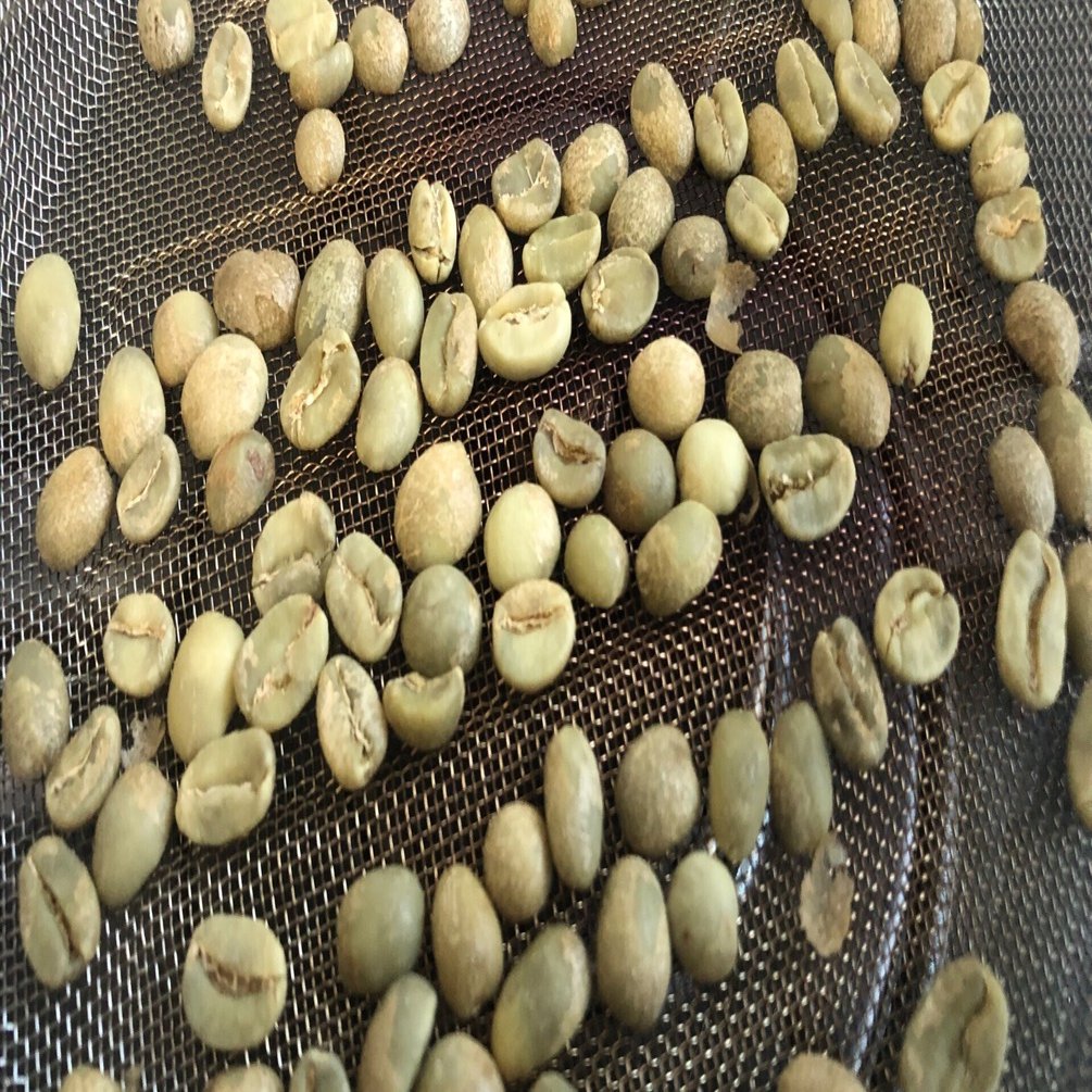 ルワンダの生豆を手網焙煎したら、想像以上に華やかな味わいでした｜ぶ