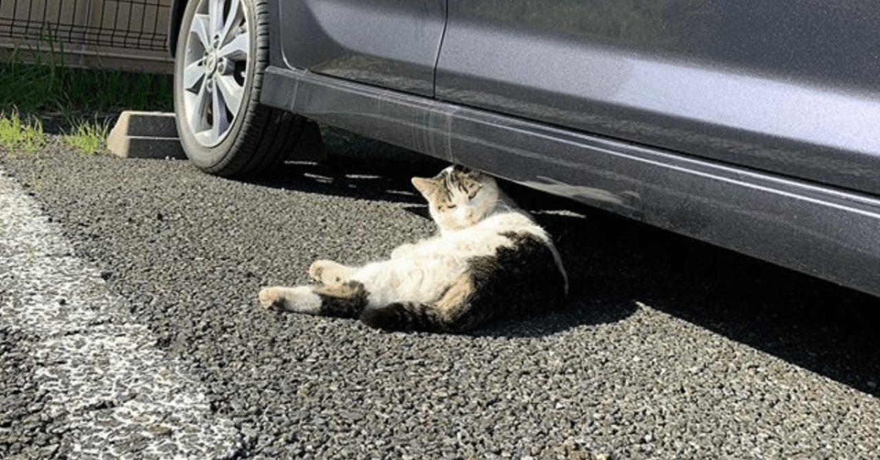 株式会社ドワンゴを退職しました