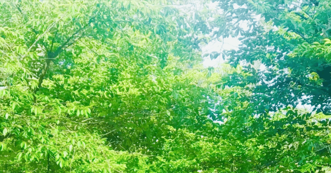 ひだまりが聴こえる】中沢元紀・小林虎之介があまりにもいいぞ