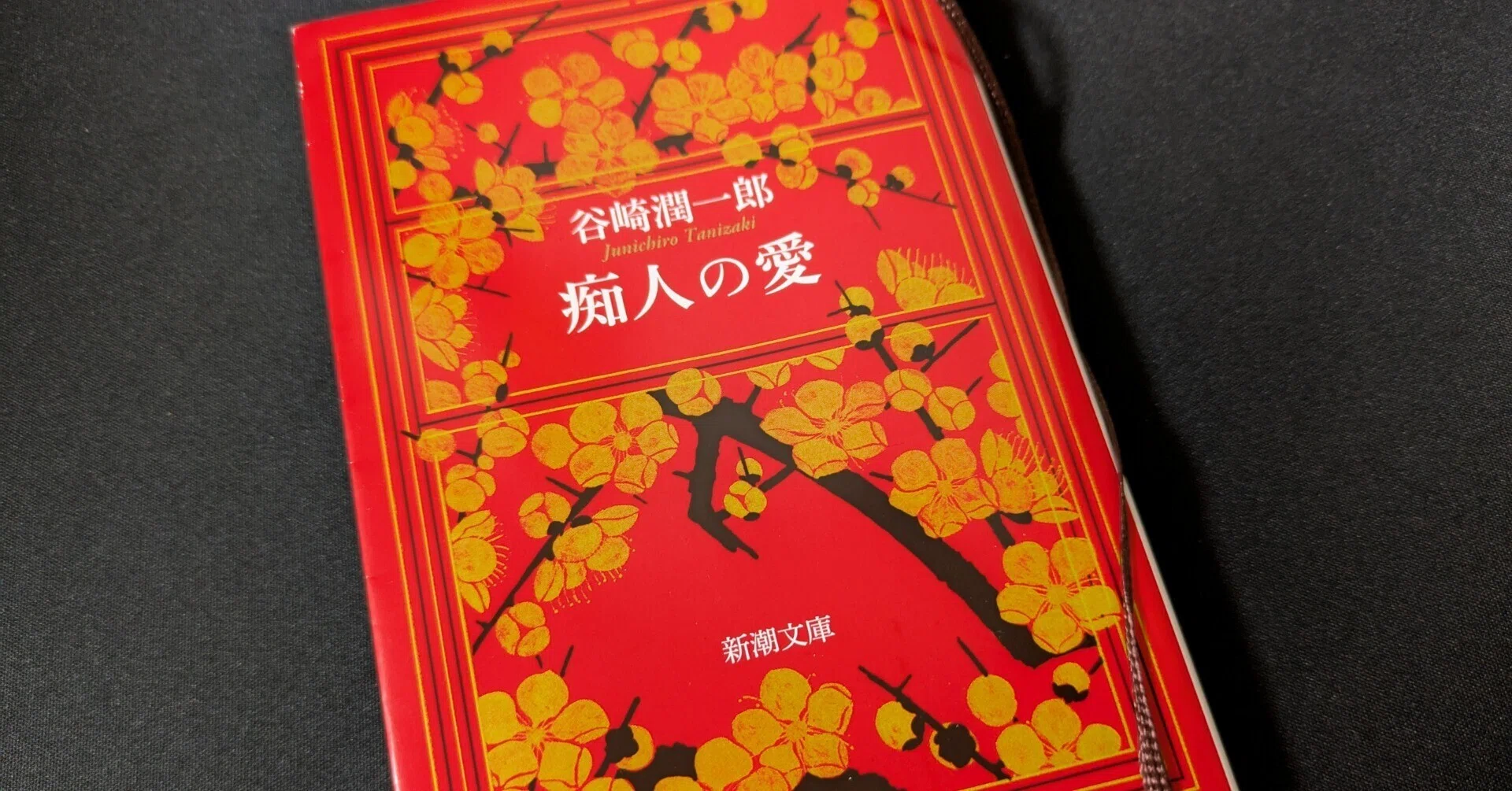 読書記録「痴人の愛」｜ほしうみ