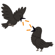 これ不思議じゃんシリーズ5 颯爽と飛ぶトンビの嘆き Coutryroad7 Note