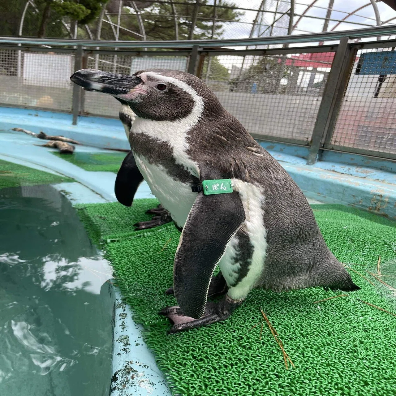 Happy Birthday?またひとつ歳を重ねたね❗️｜桂浜水族館 公式