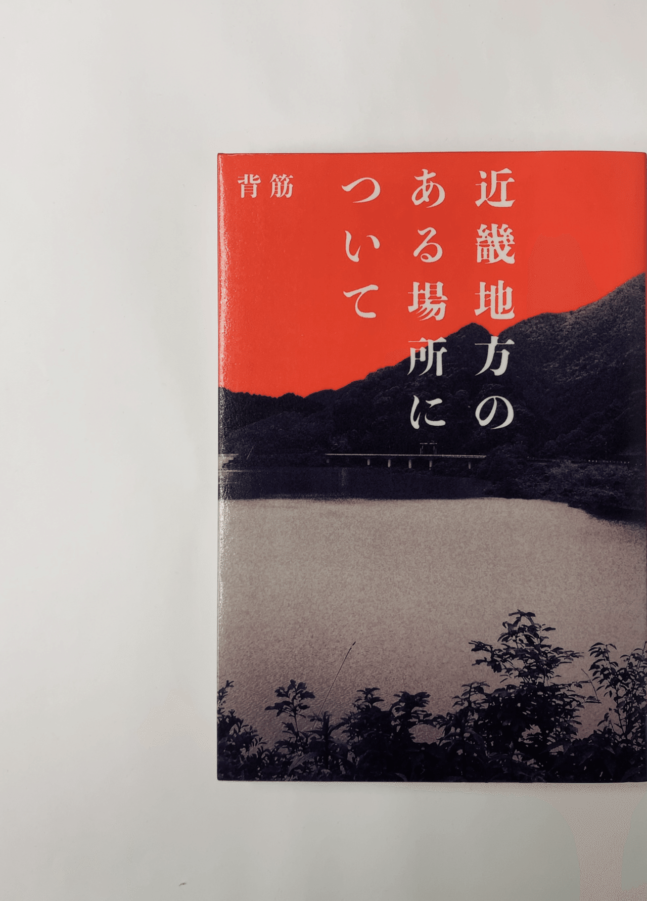 ホラー小説 変な家 近畿地方のある場所について　等 近畿地方のある場所について 第1巻 / 碓井ツカサ/背筋 - 紀伊國屋書店