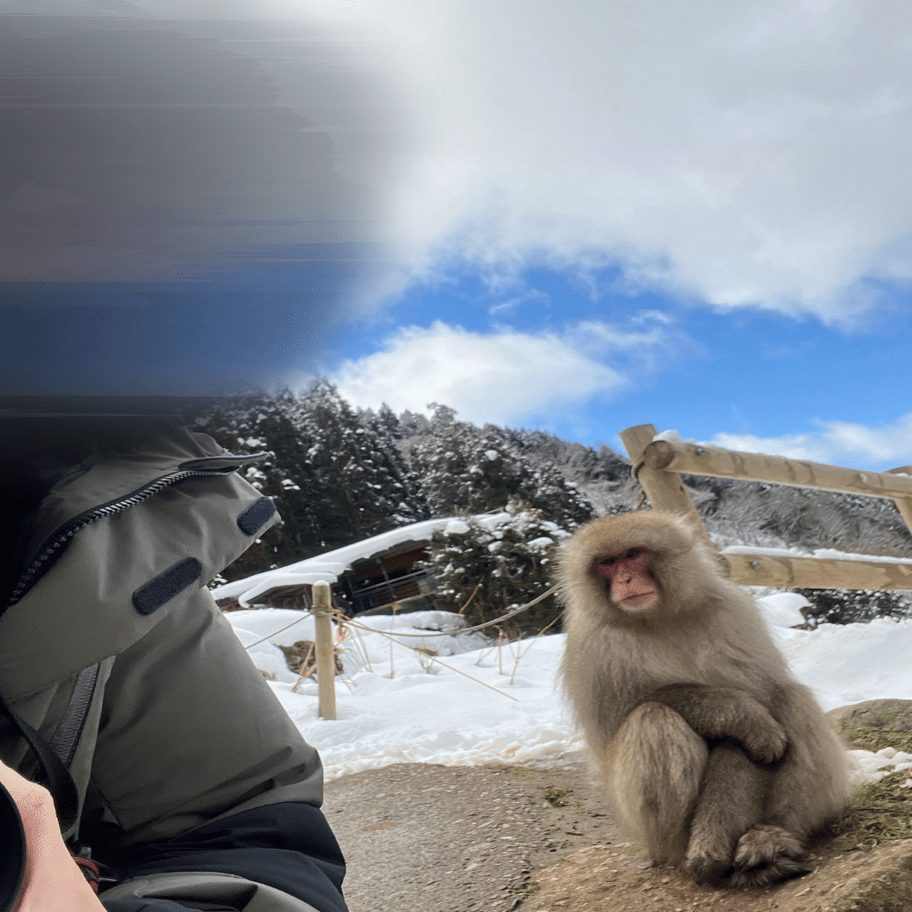 旅行記録】長野にお猿さんに会いに行く旅。｜f
