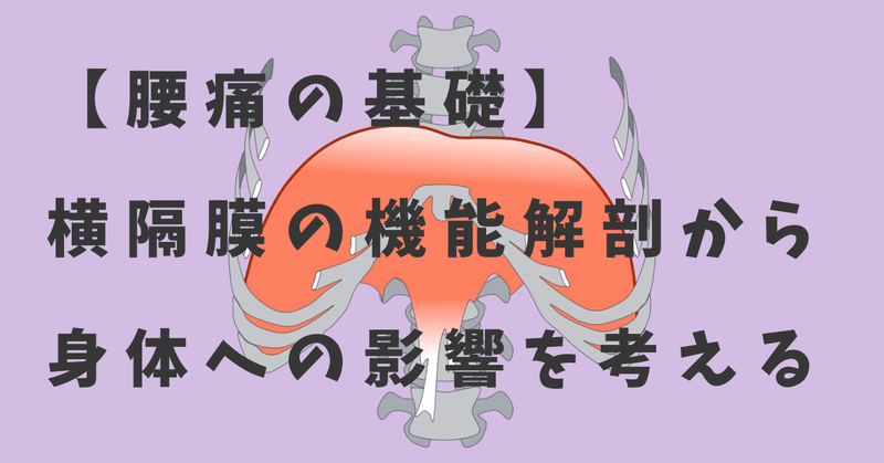 腰痛の基礎 横隔膜の機能解剖から身体への影響を考える だいじろう カラダの教科書編集長 Note 腰痛の基礎 横隔膜の機能解剖から身体への影響を考える だいじろう カラダの教科書編集長 Note