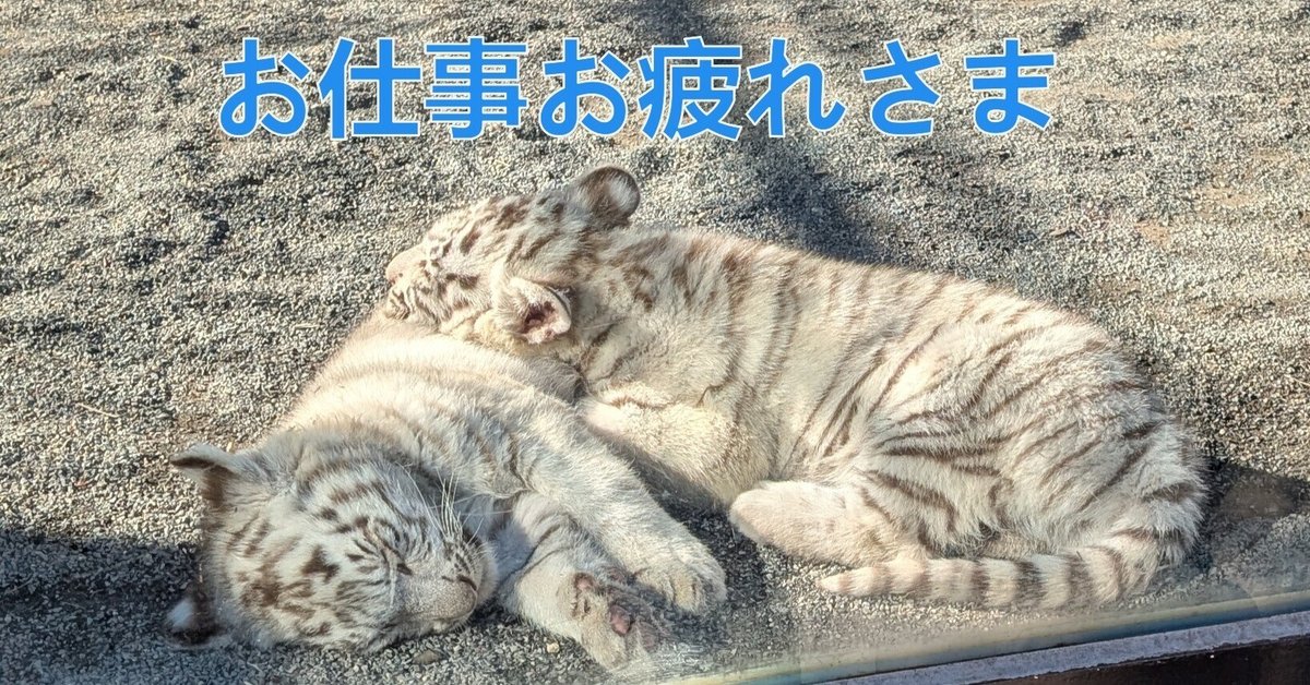 海外作家様作　アートドール　ホワイトタイガーの赤ちゃん ホワイトタイガーの赤ちゃんのしおしお顔コレクション。お母さん