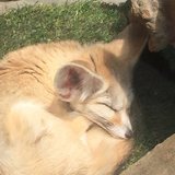 感動する童話 無名の作者が企画を主催したら たくさんの人達が参加し動画化された話 フリー台本 はれのそら 台本垢 シチュエーションボイス 童話 短編 Note 感動する童話 無名の作者が企画を主催したら たくさんの人達が参加し動画化された話 フリー台本 はれのそら 台本垢 シチュエーションボイス 童話 短編 Note