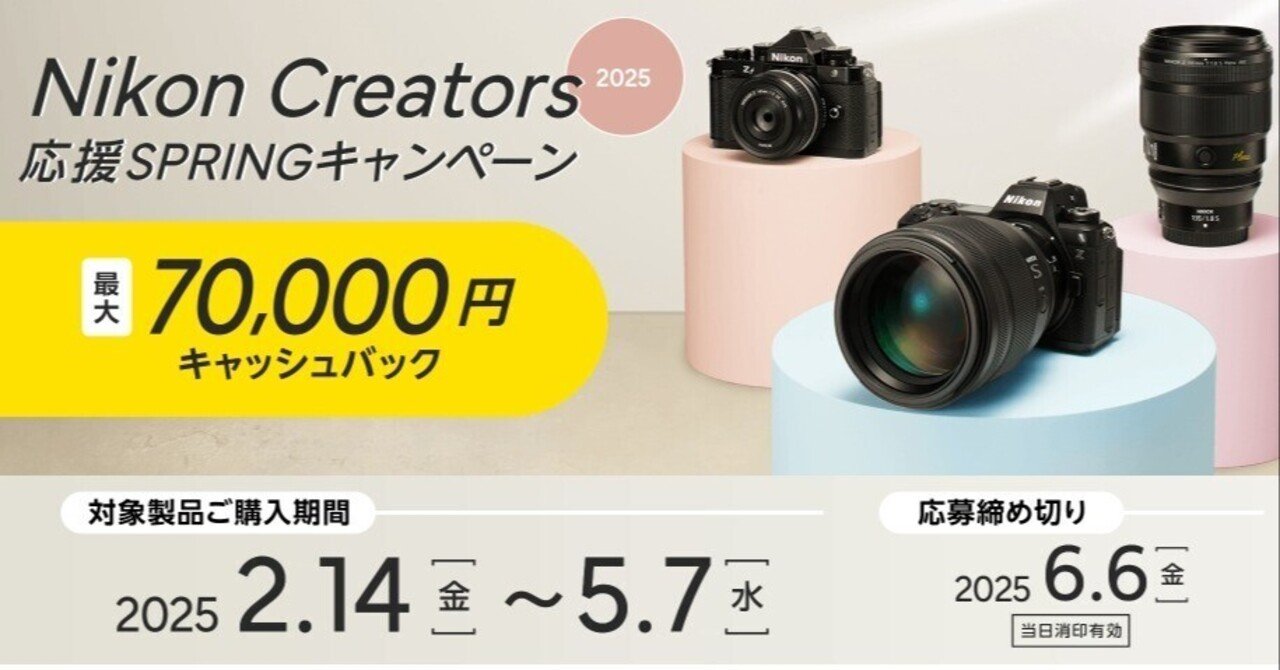美しい ❤即購入1000円OFF❤ニコン Nikon D70 春のぬくもりファインダー デジタルカメラ