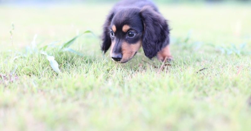 高野 縁 たかのゆかり の19年のノート Note