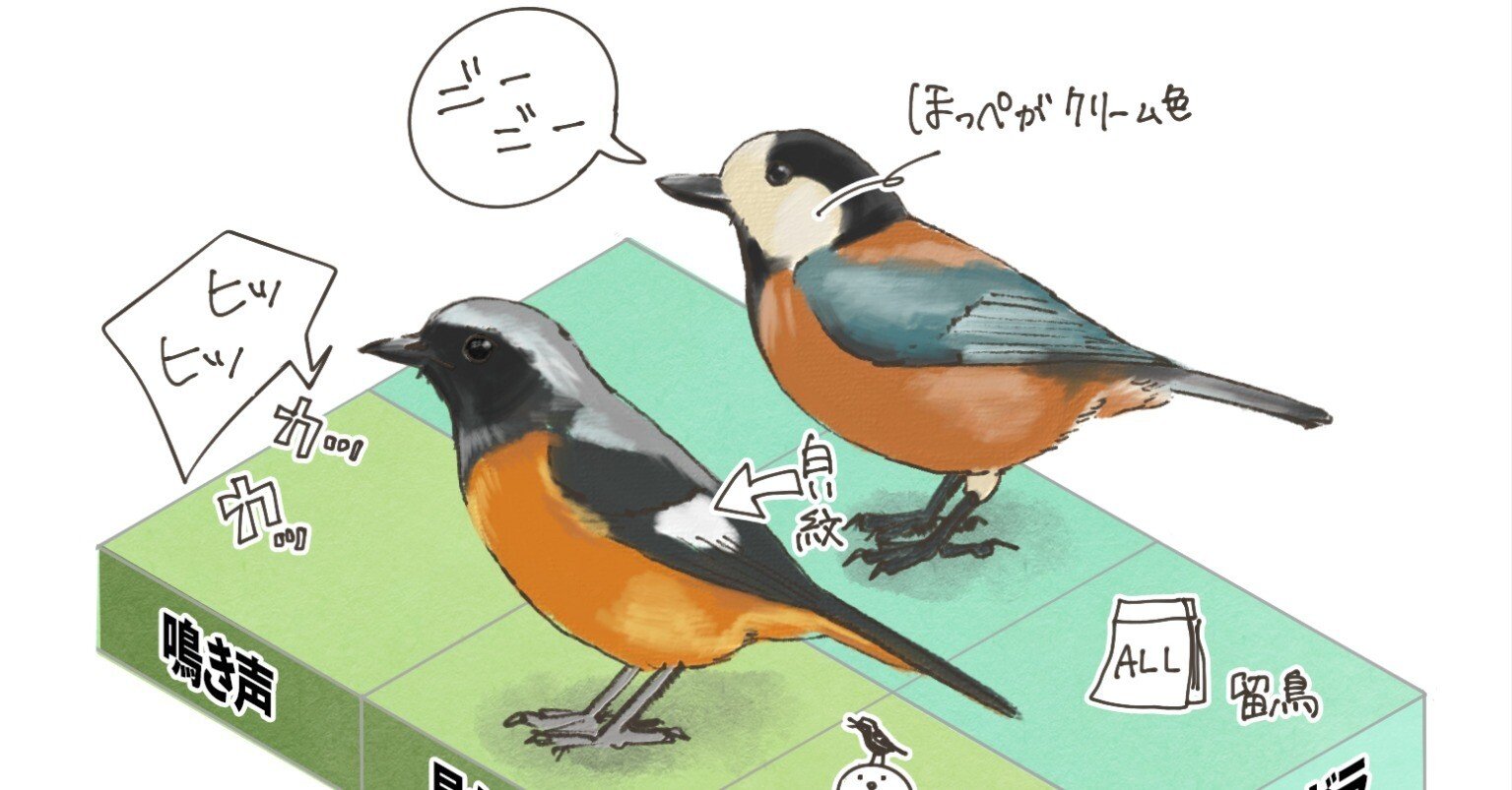 513f5d6e815d5746b8c30630b914d3