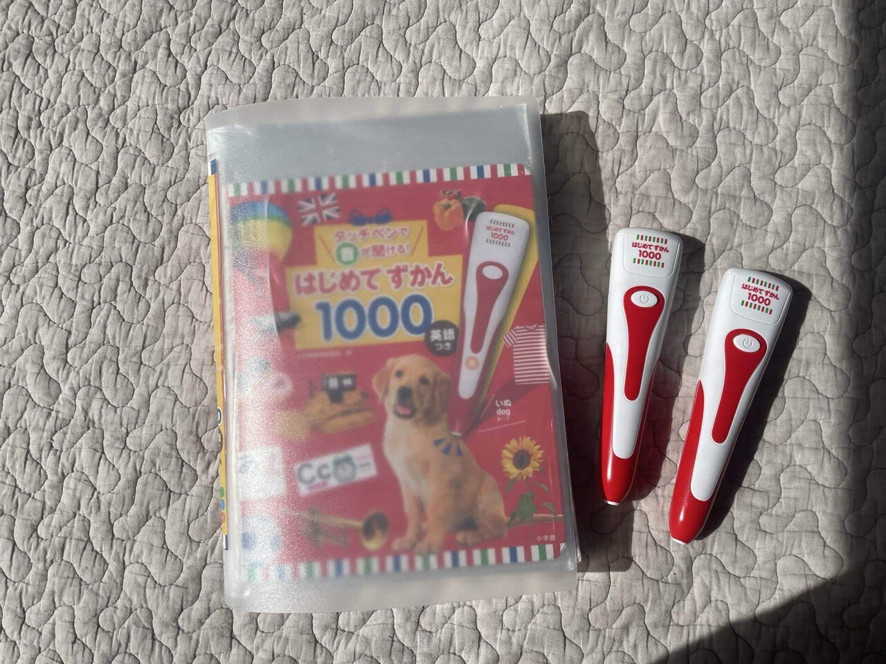 双子さん｜はじめてずかん1000｜双子さんを育てるホンミさん