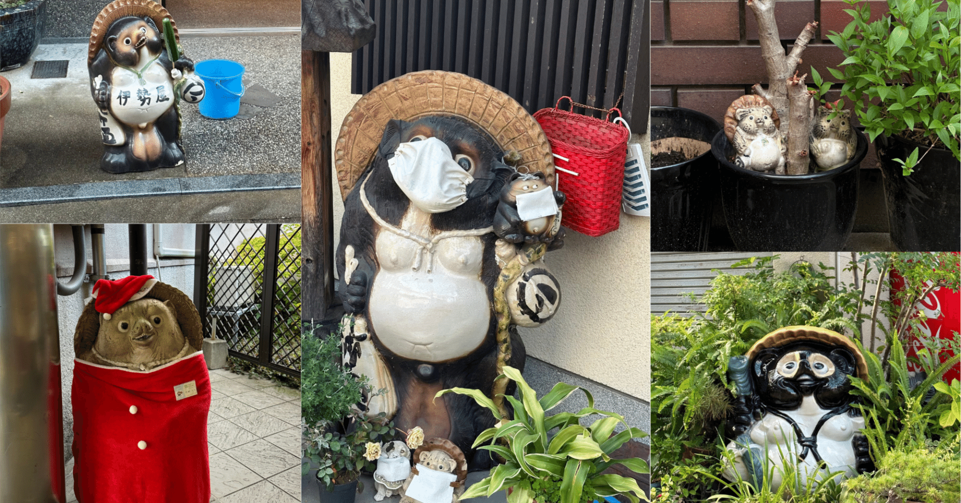 旅の途中で見つけてみて。関西に根付く信楽焼のたぬきたち｜Yuka Shogaki