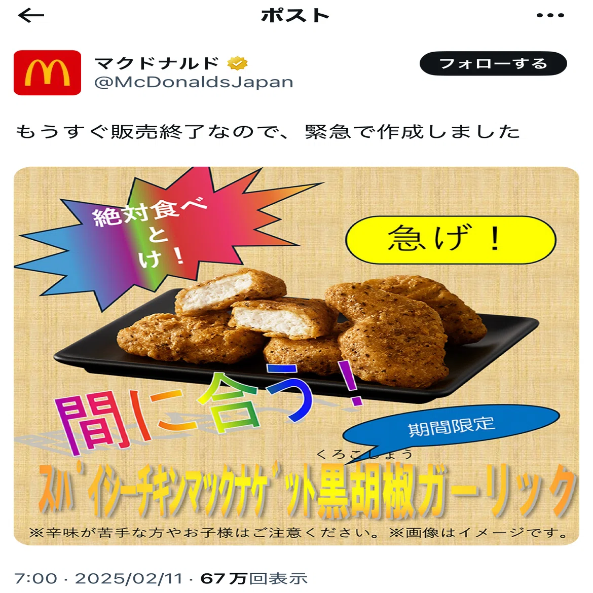 250211 ありがとう、マクドナルド｜あいすこひ