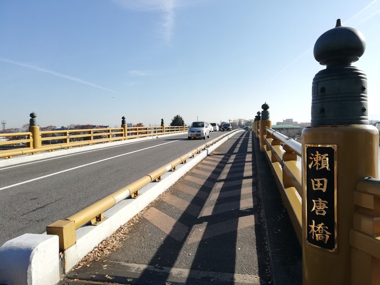 日本の神々 神社と聖地 5巻 山城・近江(谷川健一編) / 草木古