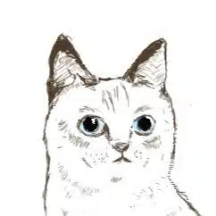Flyingcat