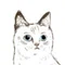 Flyingcat