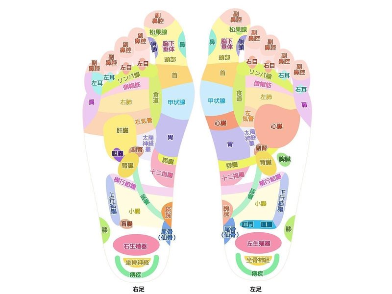 足は第二の心臓 せっかちオバケ Note 足は第二の心臓 せっかちオバケ Note