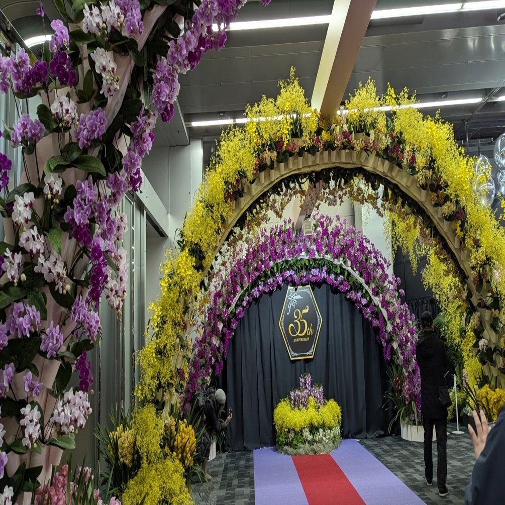 世界らん展2025花と緑の祭典｜順華の小話