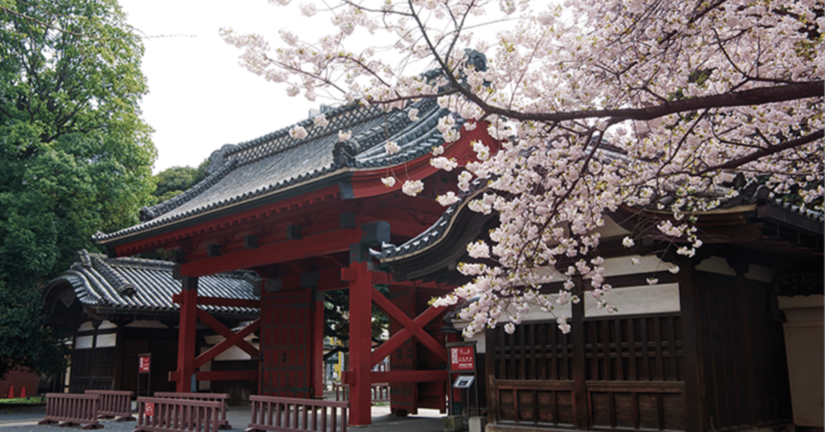 東京大学SPH過去問2015年-2025年 71stF4kf5fL.jpg