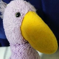 きのっぴ Note きのっぴ Note