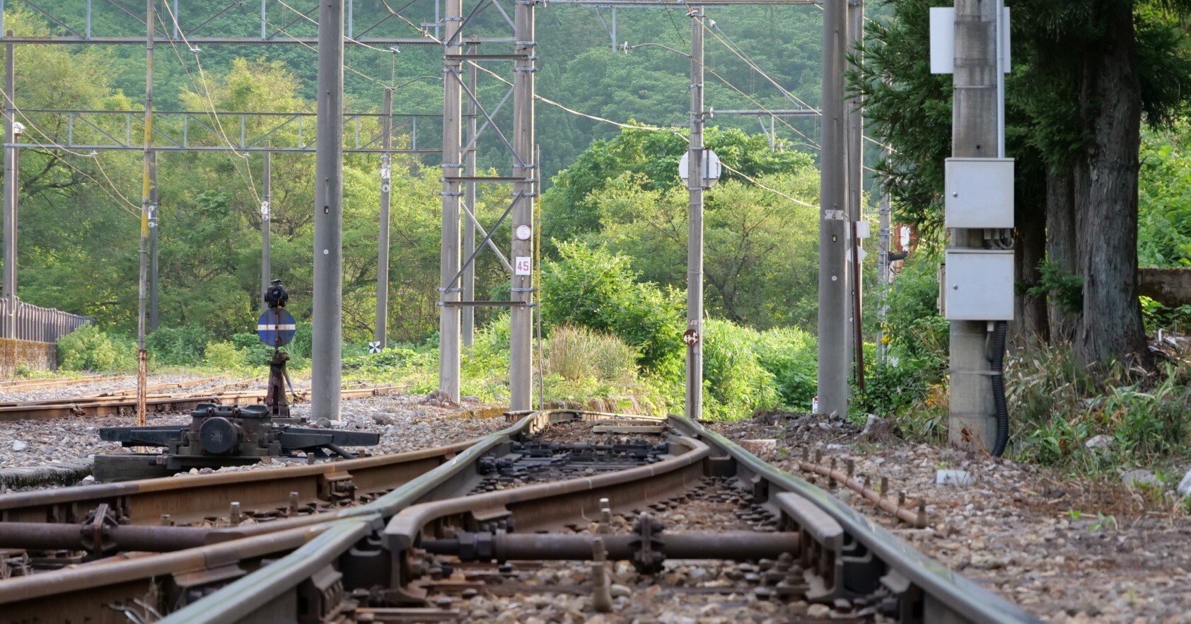 ムチムチのチ（日々更新中）｜かいと