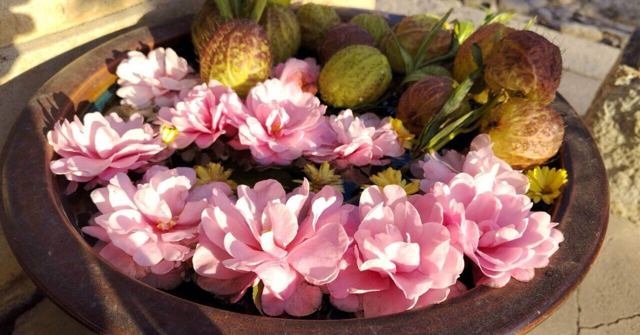 やはり『CRF1コード』は大好評でした!|癒しの波動ヒーリングK