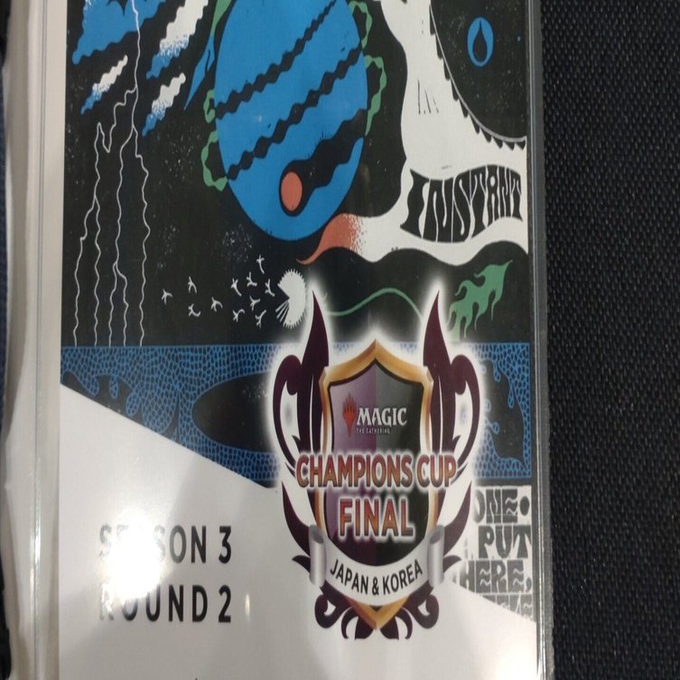 チャンピオンズカップファイナル振り返り～ジェスカイエネルギー