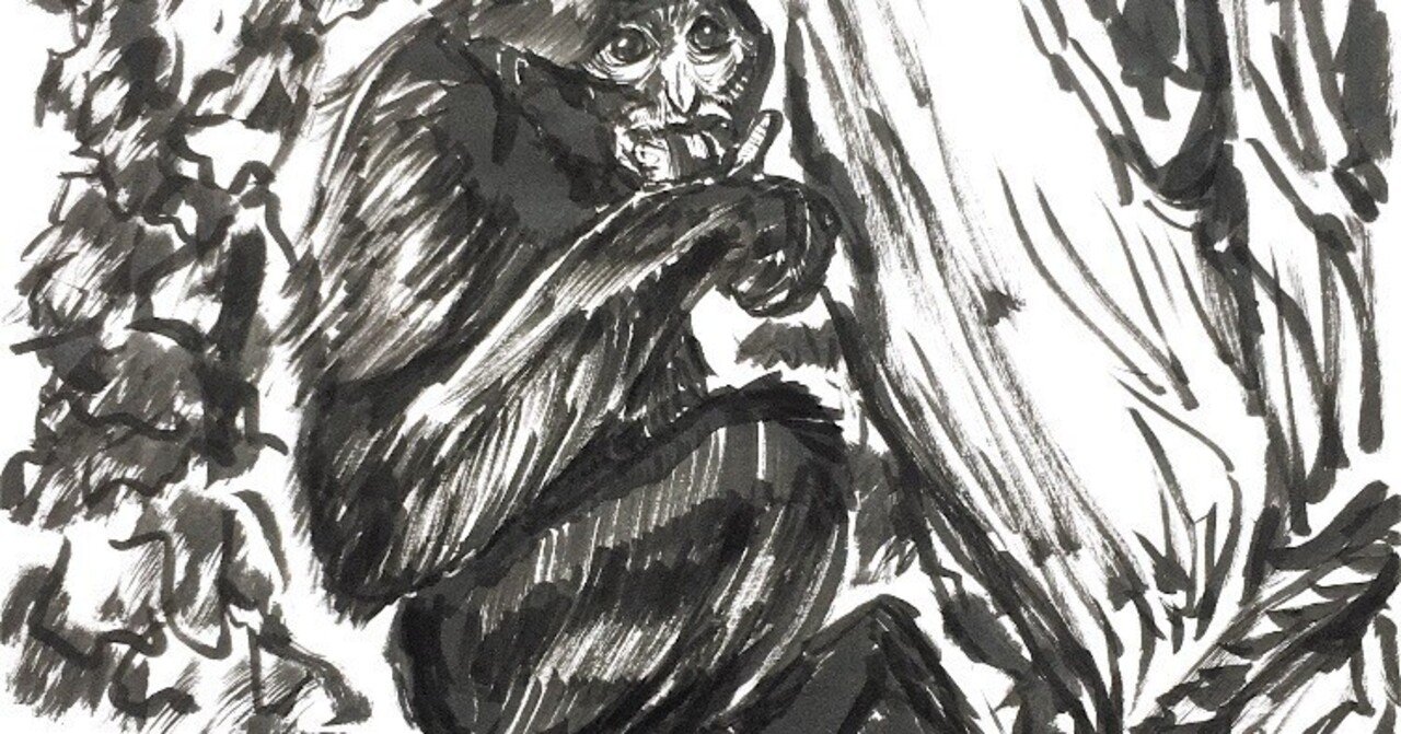 動物30秒ドローイングを1ヶ月半続けて判明した個人的な傾向｜田中たら