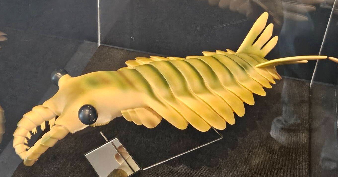 8bc34e544d76793909587921b67a16