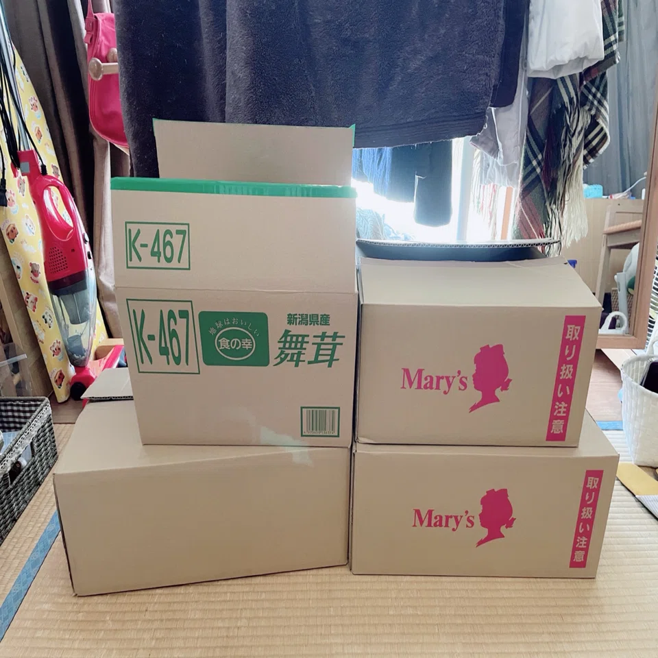 中年ヲタクだけど、長年放置してた模型スペースと向き合ってみた