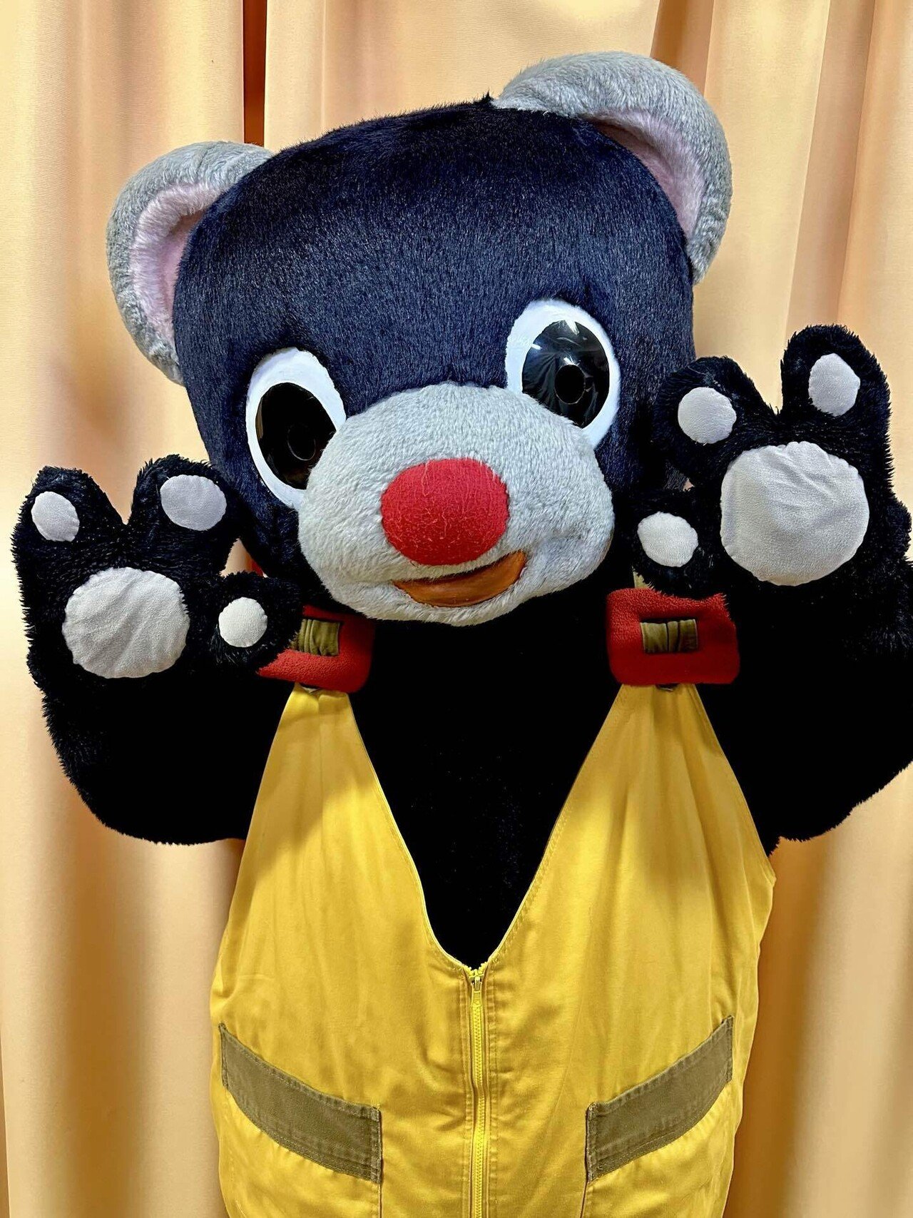 2025年2月度|劇団こぐま座活動記録｜劇団こぐま座