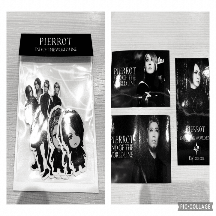 2025年2月8日 PIERROT「END OF THE WORLD LINE」Day1 at 有明アリーナ
