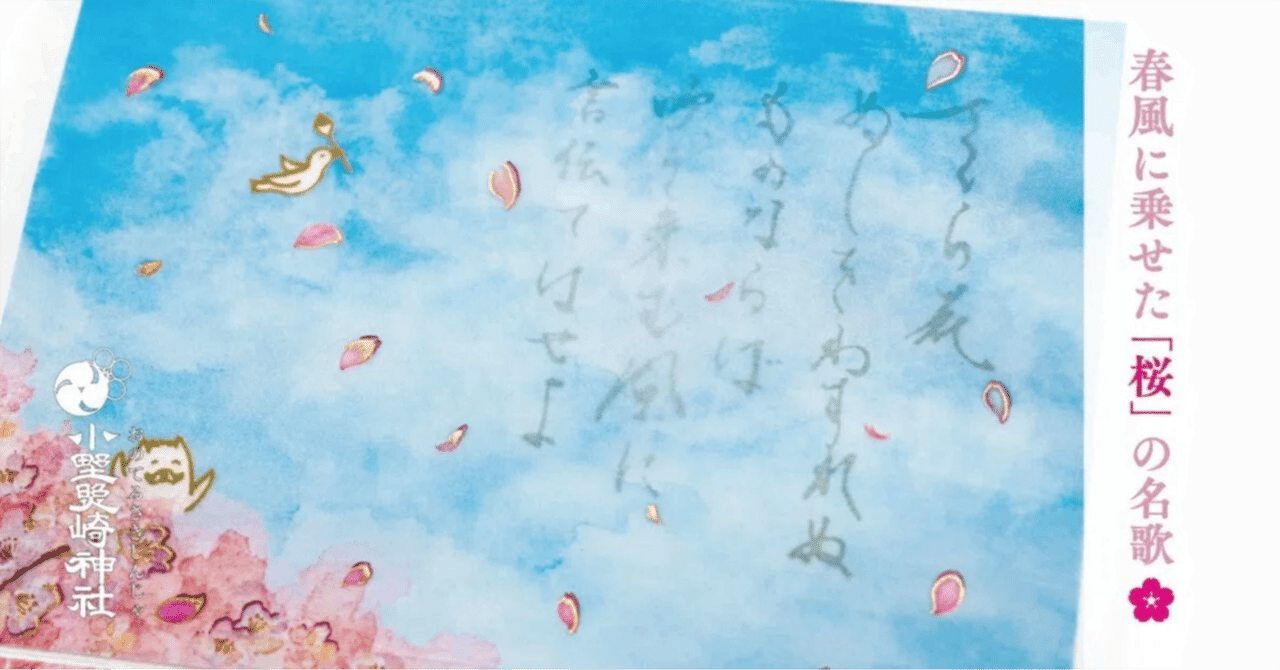 菅原道真公の愛情に応えた「桜」のはなし🌸｜小野照崎神社