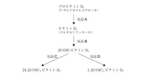 rectangle_large_type_2_3f65947