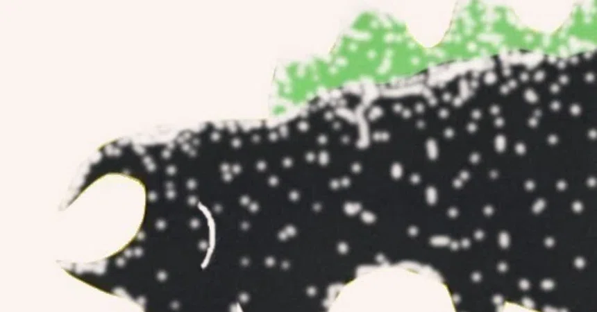 Reflections on My Father's Death ①｜Naomi Hama