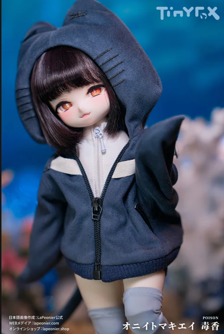 tinyfoxをお迎えしました｜山猫屋