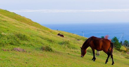 国内旅行業務取扱管理者」の人気タグ記事一覧｜note ――つくる