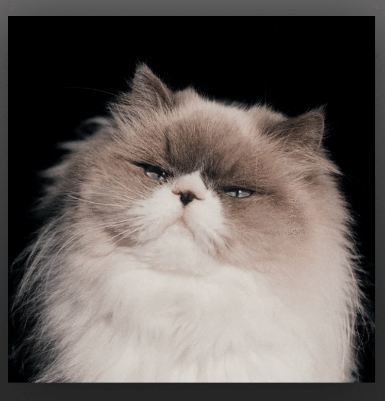 わたしのまっしろときんいろ カネコアヤノ Ribon No Tehodoki - YouTube