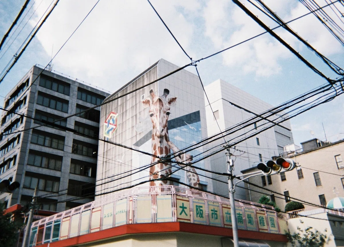 画像6