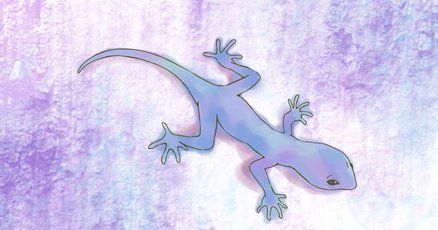 ヤモリ(家守)の飼育ケージ作り - ひでぶろ