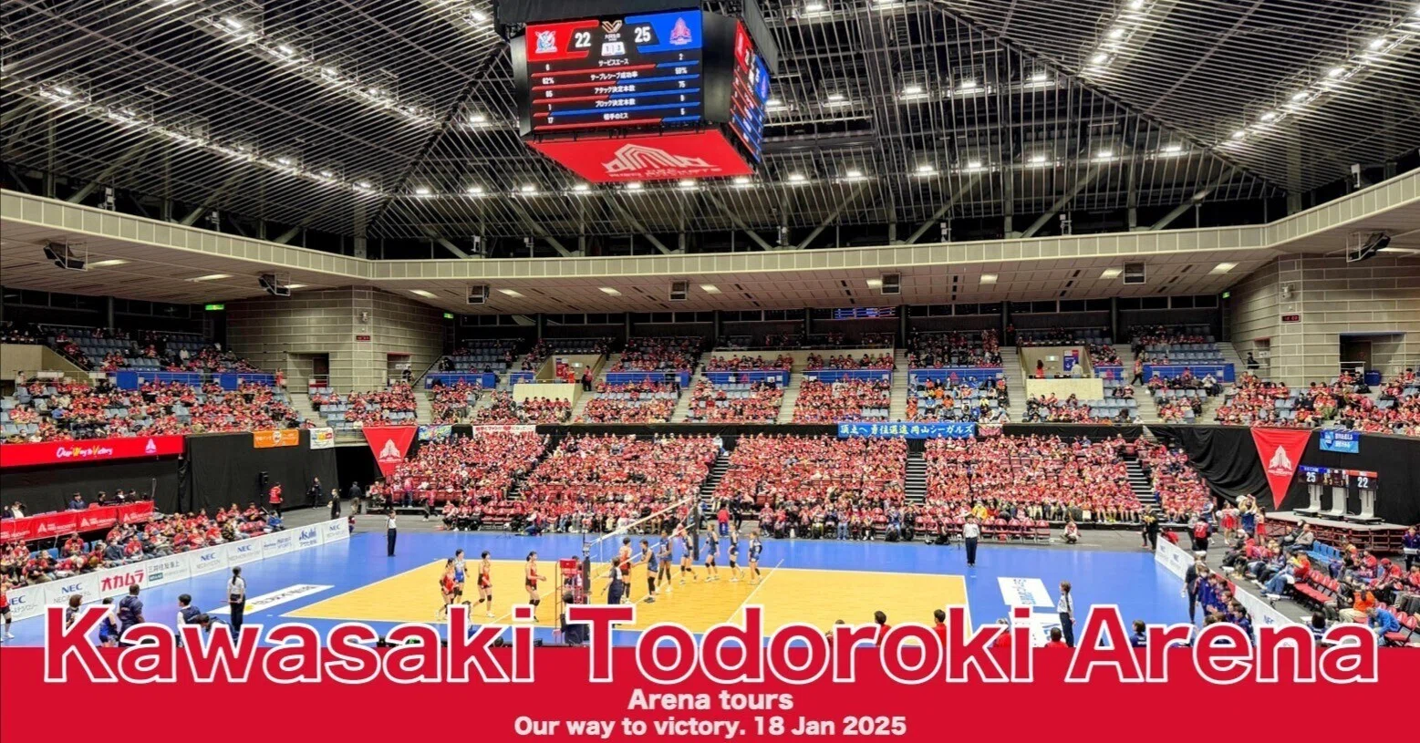 アリーナツアー#23】川崎市とどろきアリーナ Jan 2025｜Stadium Arena