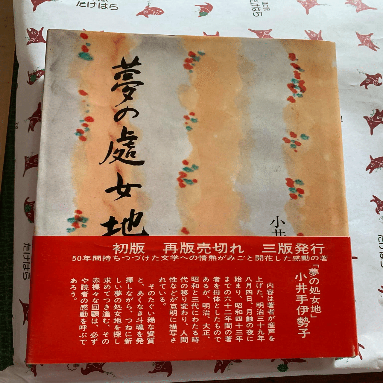 日系ブラジル移民🇧🇷（随時更新）｜木曜日はあそびの日