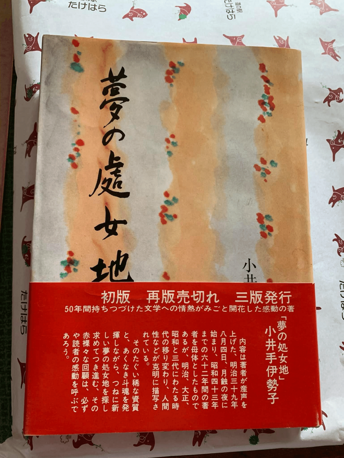 日系ブラジル移民🇧🇷(随時更新)|木曜日はあそびの日 日系ブラジル移民🇧🇷(随時更新)|木曜日はあそびの日