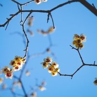 広報室沈黙す 登場人物まとめ たびちん ワカタビタキエ Note 広報室沈黙す 登場人物まとめ たびちん ワカタビタキエ Note