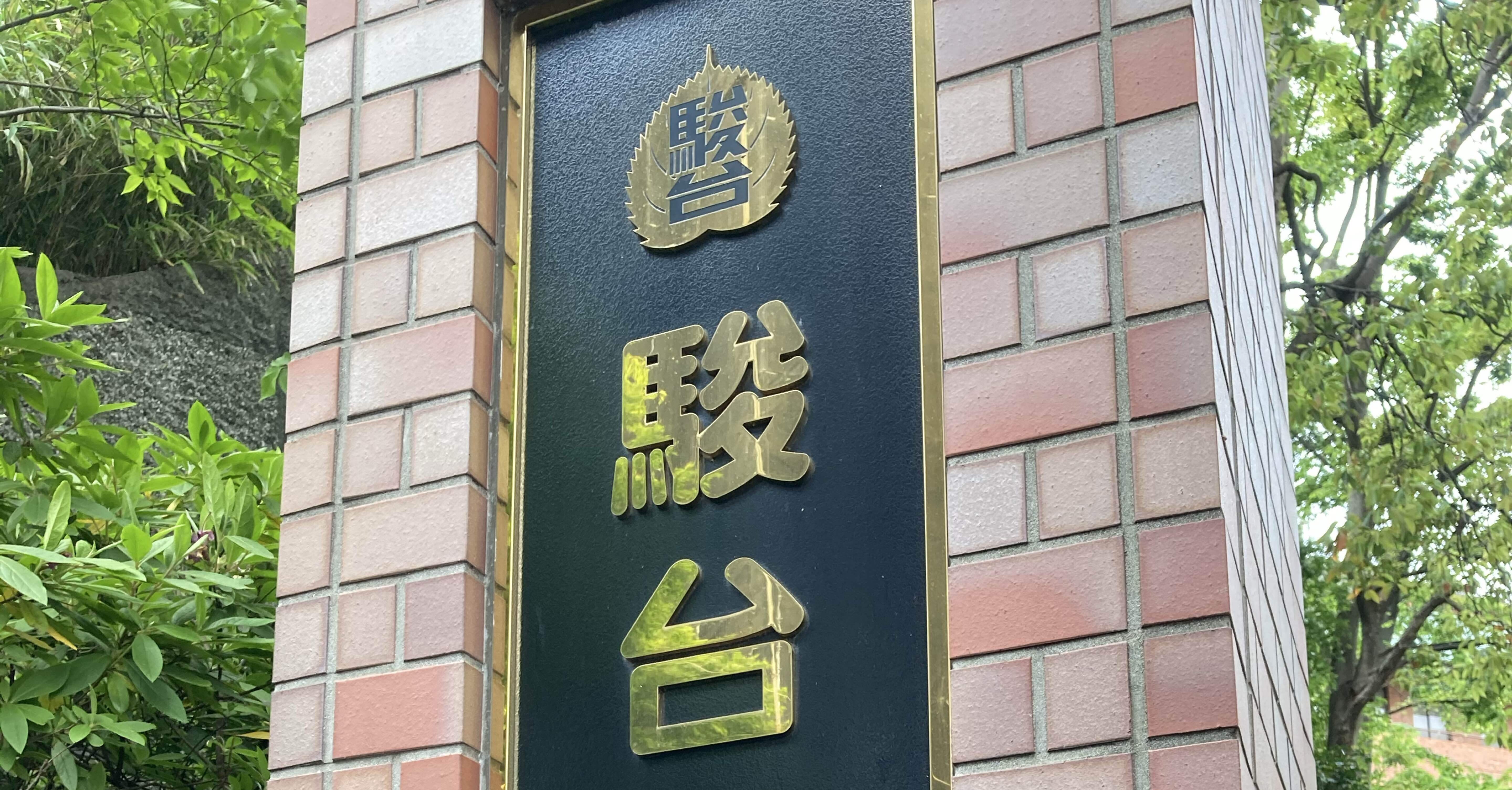 河合塾 上位クラスオリジナルの国公立・難関私大向け世界史論塾対策　駿台　鉄緑会 河合塾 上位クラスオリジナルの国公立・難関私大向け世界史論塾