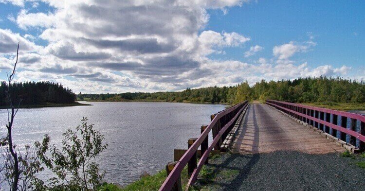 透鏡　硝子　とうきょうびいどろ